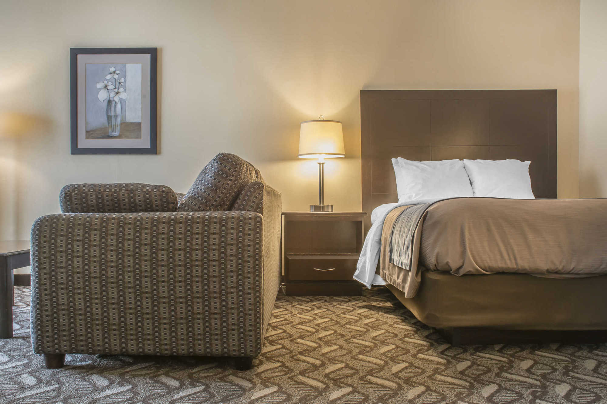 Comfort Inn & Suites Ambassador Bridge Windsor Bilik gambar