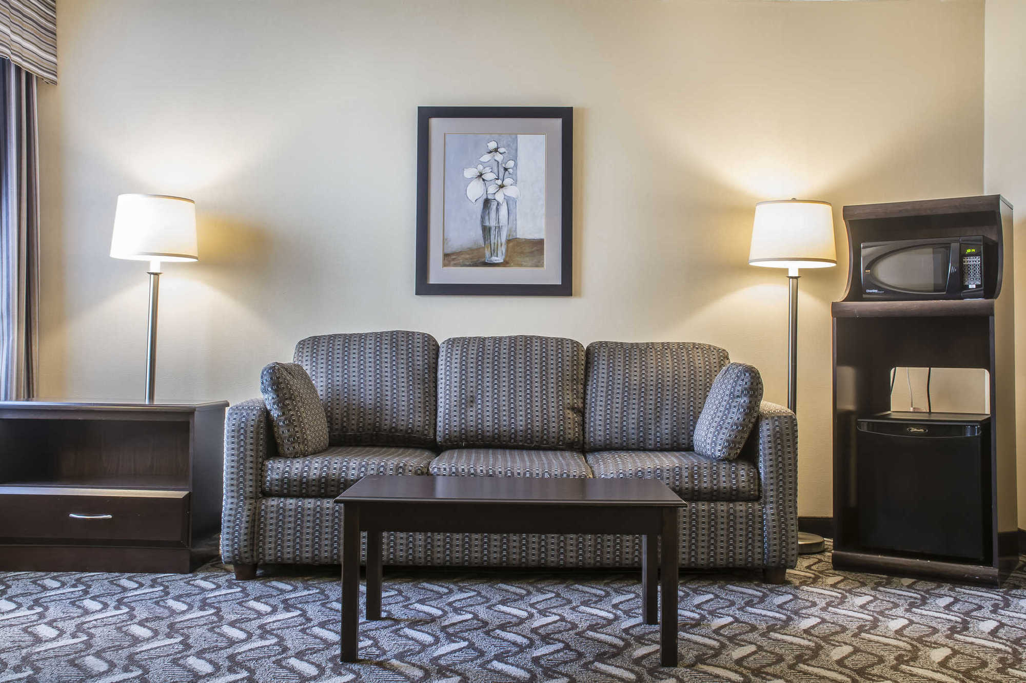 Comfort Inn & Suites Ambassador Bridge Windsor Bilik gambar